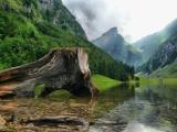 Beim Seealpsee © by Sunpixx Beim Seealpsee © by Sunpixx