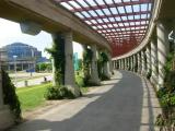 WROCŁAW    PERGOLA
