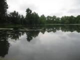 кузьминское 2009 кузьминское 2009