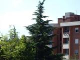 Campobasso Campobasso