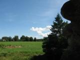 Castle Ruins 