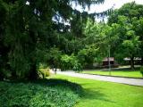City garden