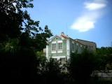 Trees&Building