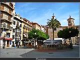   Plaza de Las Flores , con la palmera original.....(By FranciscoGC)