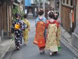 Japanese Maiko - Young Geisha Japanese Maiko - Young Geisha