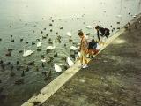 Geneve 1994...© by leo1383
