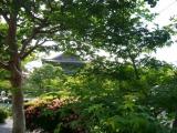 東寺 金堂To-ji temple 東寺 金堂To-ji temple