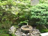 竜安寺Ryoan-ji temple 竜安寺Ryoan-ji temple