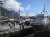 Svolvær, Litløya, bateaux de pêche