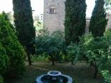 Viterbo, gusto italiano Viterbo, gusto italiano