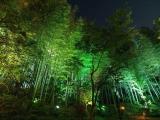 高台寺 竹林 Kodai-ji Bamboo forest 高台寺 竹林 Kodai-ji Bamboo forest