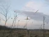 Весна в шарике 1.
