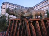 Ancona - Monumento Rinoceronti - piazza Pertini Ancona - Monumento Rinoceronti - piazza Pertini