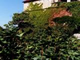 Graz Festung mit Waffenmuseum Graz Festung mit Waffenmuseum