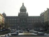 Museum Museum