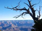 Grand Canyon Grand Canyon
