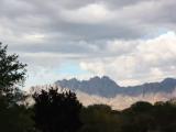 Organ Mts Organ Mts