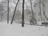 пурга