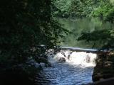 Bronx River Waterfall - Bronxville Bronx River Waterfall - Bronxville