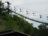 chair-lift in Zoo, Prague chair-lift in Zoo, Prague