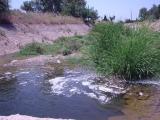 Fossa Rio Santo Milano Fossa Rio Santo Milano