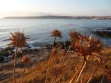 Morning. Sozopol Morning. Sozopol