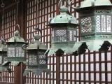 Bronze lanterns at Kasuga Shrine Bronze lanterns at Kasuga Shrine