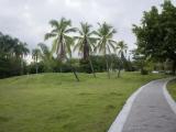 Tropical Park
