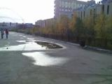 Воробьи