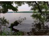 Пасмурный июнь.Пироговское водохранилище Пасмурный июнь.Пироговское водохранилище