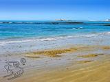 Playa Gaditana