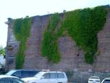 Brick and Ivy Brick and Ivy