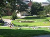 Sinebrychoff's park Sinebrychoff's park