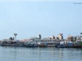 Càng cá Phan Thiết Càng cá Phan Thiết