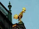 Goldener Hahn /München, auf dem Dach vom Bayerischen Nationalmuseum