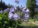 im Park von Schloss Linderhof im Park von Schloss Linderhof