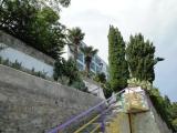 природа южного Крыма в ДЛОЦ природа южного Крыма в ДЛОЦ