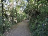 Dornach. Lauschiger Fussweg zum Gwändweg im Sommer 2010 Dornach. Lauschiger Fussweg zum Gwändweg im Sommer 2010