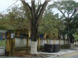 Phòng Kinh Tế Hội An