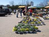 Рынок Рынок