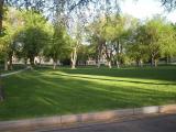 Oval, Colorado State University