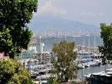 Napoli - I giardini del molosiglio Napoli - I giardini del molosiglio