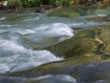 the river Chorna (Black) - річка Чорна the river Chorna (Black) - річка Чорна