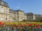 Schloss - Stuttgart Schloss - Stuttgart