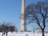 Washington Memorial Washington Memorial