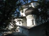 луковицы