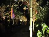 Tanabata Tanabata