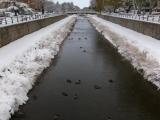 Rio Vena nevado 2009