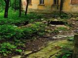 Западный флигель усадьбы Гребнево, сзади Западный флигель усадьбы Гребнево, сзади