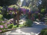 Glacier Gardens Juneau Alaska